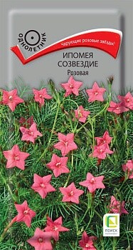 Ипомея Созвездие Розовая, 0,3г Поиск