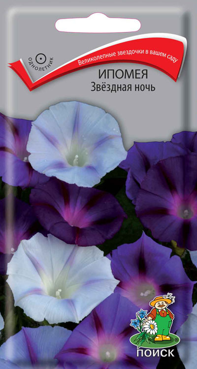 Ипомея Звёздная ночь, 0,5г Поиск