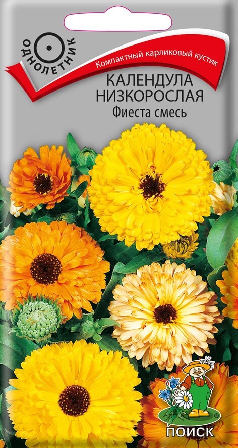 Календула низкорослая Фиеста смесь, 1г Поиск