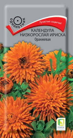 Календула низкорослая Ириска Оранжевая, 10шт Поиск