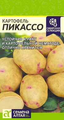 Картофель Пикассо, 0,02г Семена Алтая