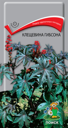 Клещевина Гибсона, 2гр Поиск