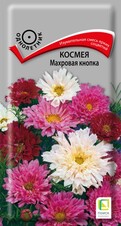 Космея Махровая кнопка, 0,1г Поиск