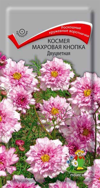 Космея Махровая кнопка Двуцветная, 0,1г Поиск