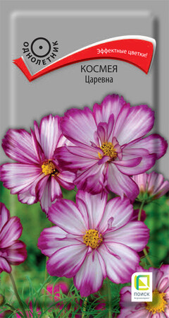 Космея Царевна, 0,1г Поиск