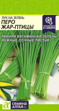 Лук на зелень Перо Жар-Птицы, 0,5г Семена Алтая