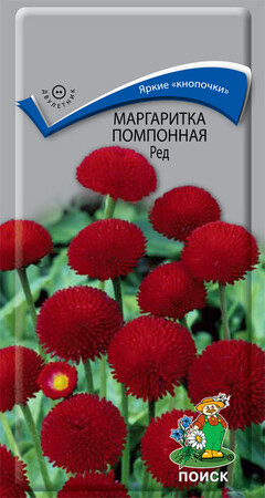 Маргаритка помпонная Ред, 0,05г Поиск