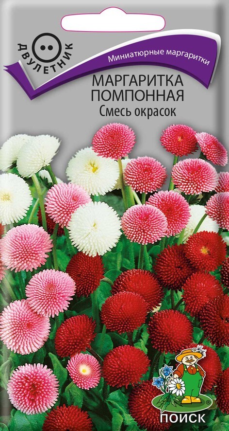 Маргаритка помпонная Смесь окрасок, 0,1г Поиск