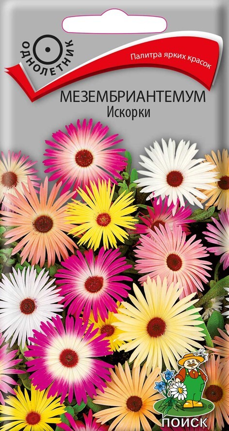 Мезембиантемум Искорки, 0,3г Поиск