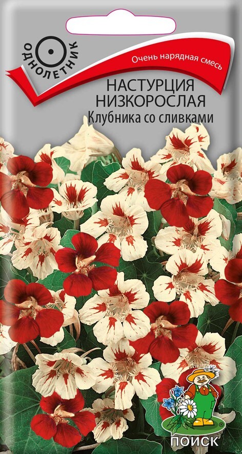 Настурция низкорослая Клубника со сливками, 1г Поиск