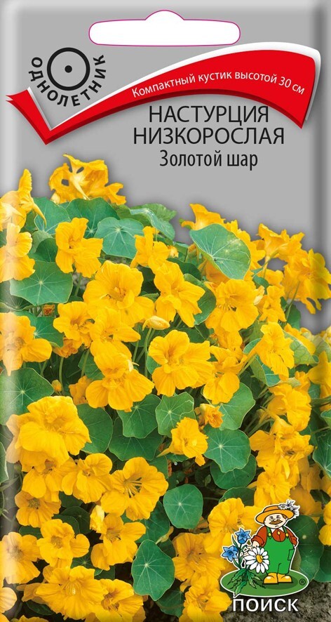 Настурция низкорослая Золотой шар, 1г Поиск