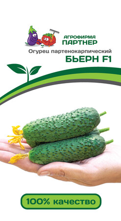 Огурец Бьерн F1, 5шт Партнер