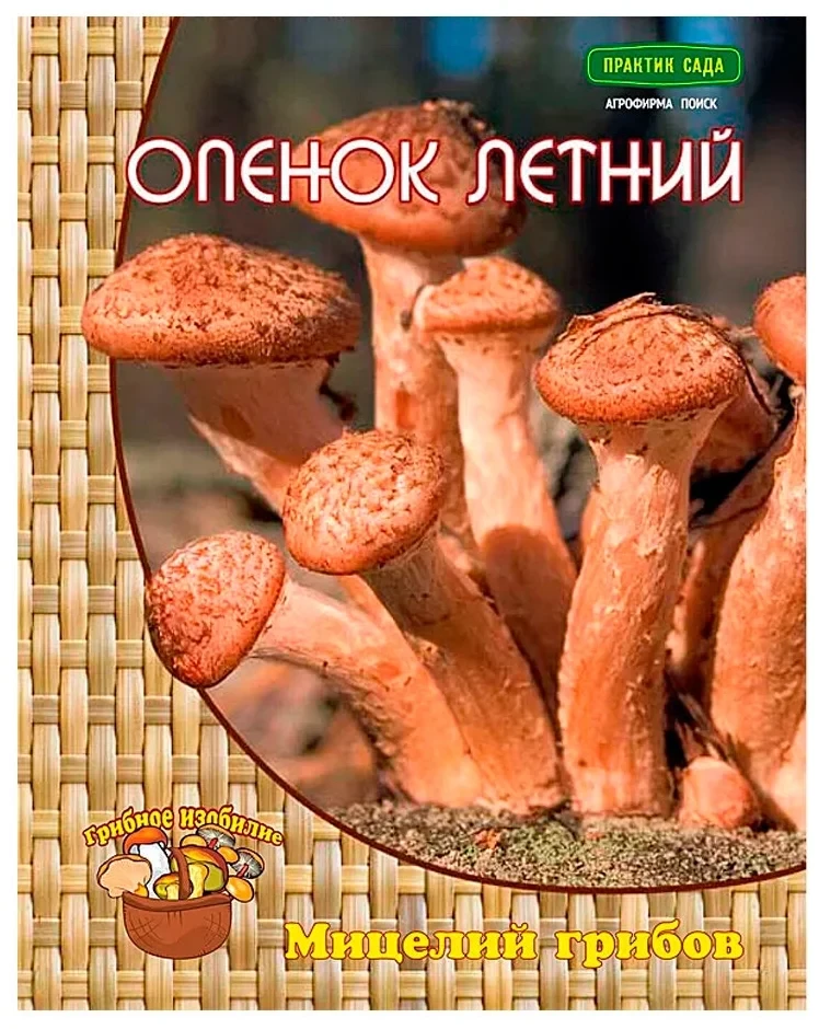 Опёнок летний (мицелий на древесном носителе) 12шт Поиск