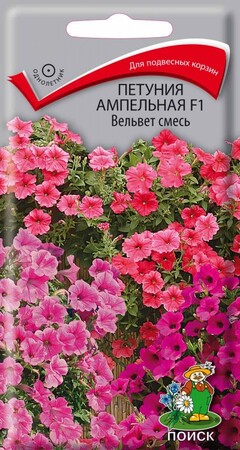 Петуния ампельная F1 Вельвет смесь, 5шт Поиск