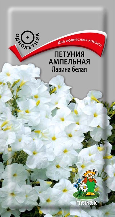 Петуния ампельная Лавина Белая, 10шт Поиск