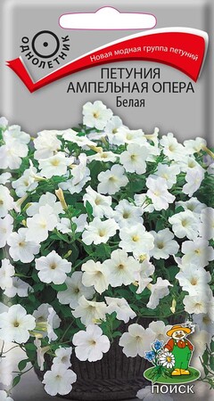 Петуния ампельная Опера Белая, 5шт Поиск