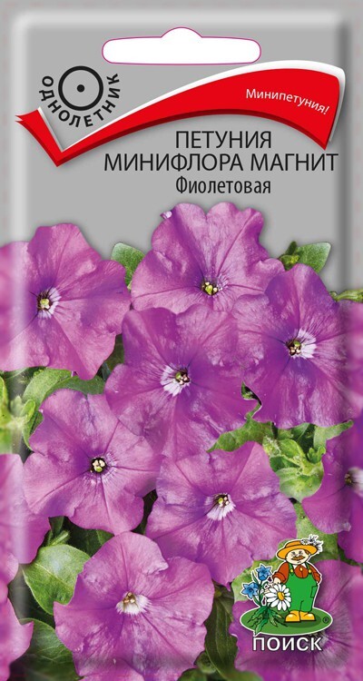 Петуния минифлора Магнит Фиолетовая, 10шт Поиск