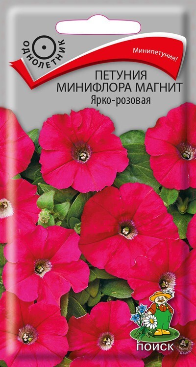 Петуния минифлора Магнит Ярко-розовая, 10шт Поиск