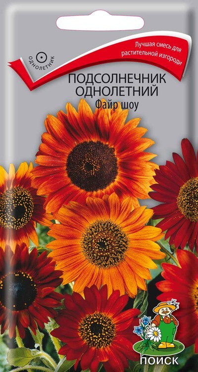 Подсолнечник однолетний Файр шоу, 0,5г Поиск