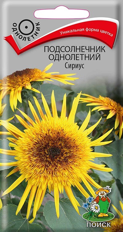 Подсолнечник однолетний Сириус, 0,3г Поиск