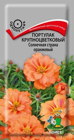 Портулак крупноцветковый Солнечная страна оранжевый, 0,1г Поиск