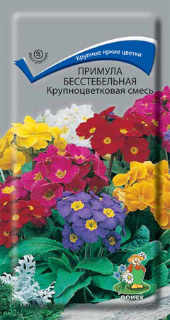 Примула бесстебельная Крупноцветковая смесь, 0,04г Поиск