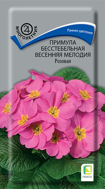 Примула бесстебельная Весенняя мелодия Розовая, 10шт Поиск