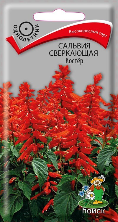 Сальвия сверкающая Костёр, 0,1г Поиск