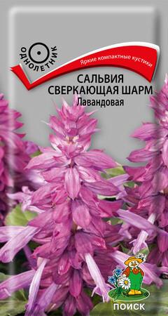 Сальвия сверкающая Шарм Лавандовая, 0,1г Поиск