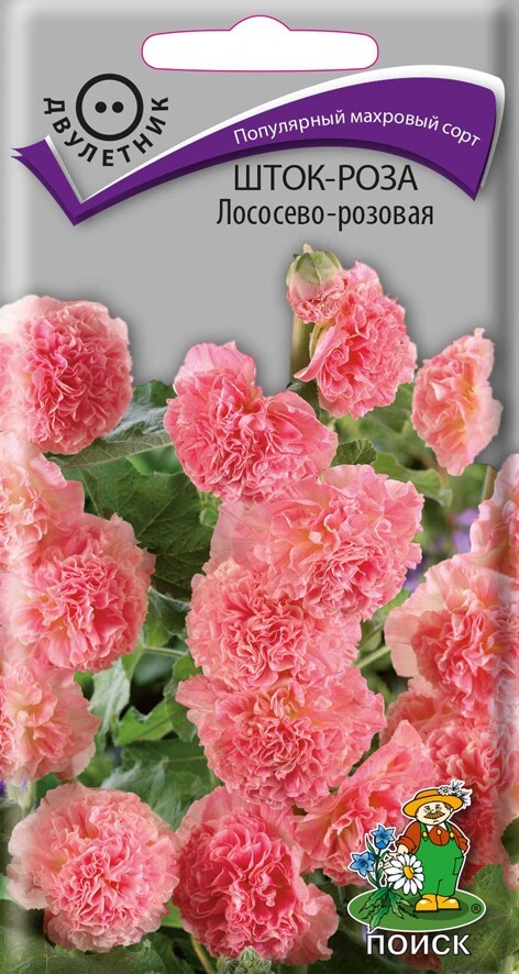 Шток-роза Лососево-розовая, 0,1г Поиск