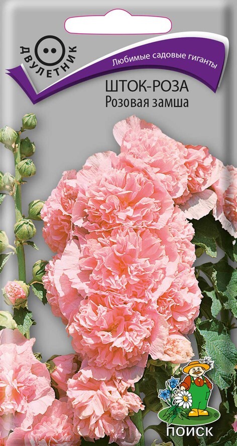 Шток-роза Розовая замша, 0,1г Поиск