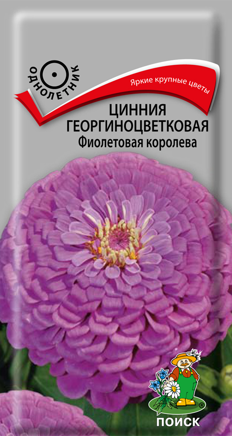 Цинния георгиноцветковая Фиолетовая королева, 0,4г Поиск