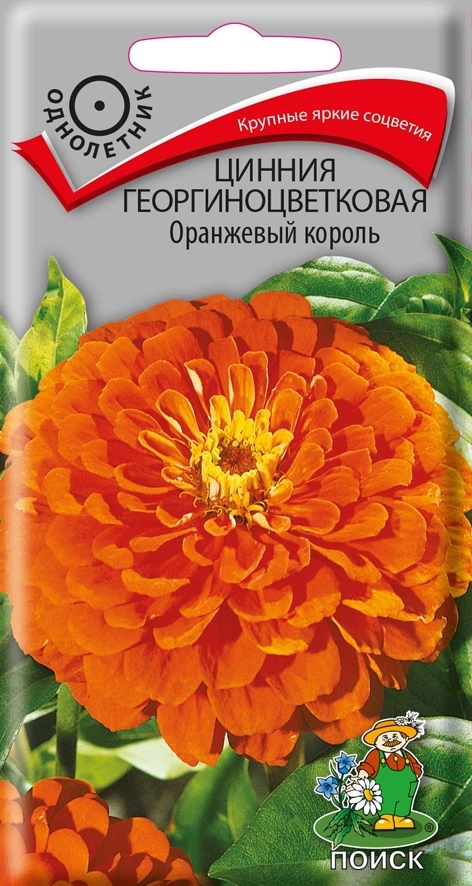 Цинния георгиноцветковая Оранжевый король, 0,4г Поиск
