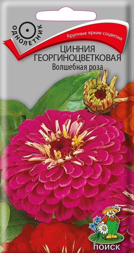 Цинния георгиноцветковая Волшебная роза, 0,4г Поиск