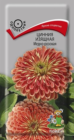 Цинния изящная Медно-розовая, 0,4г Поиск