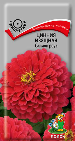 Цинния изящная Салмон роуз, 0,4г Поиск