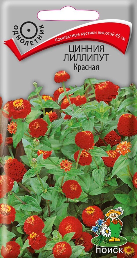 Цинния лиллипут Красная, 0,4г Поиск