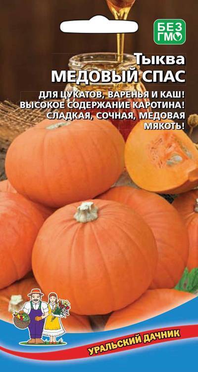 Тыква Медовый спас, 6шт Уральский дачник