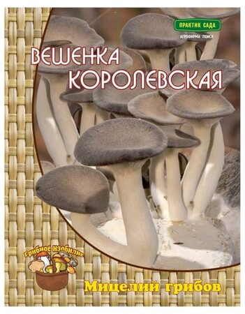 Вешенка королевская (мицелий на древесном носителе) 12шт Поиск