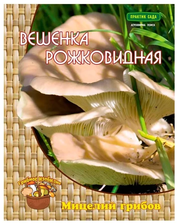 Вешенка рожковидная (мицелий на древесном носителе) 12шт Поиск