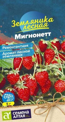 Земляника ремонтантная Мигнонетт, 8шт Семена Алтая